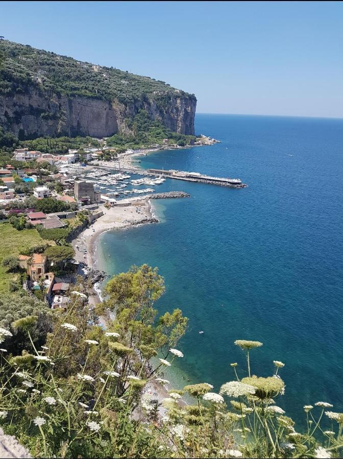 B&B Vesuvio Ruins Πομπηία Εξωτερικό φωτογραφία