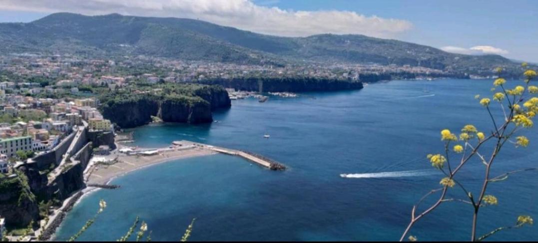 B&B Vesuvio Ruins Πομπηία Εξωτερικό φωτογραφία