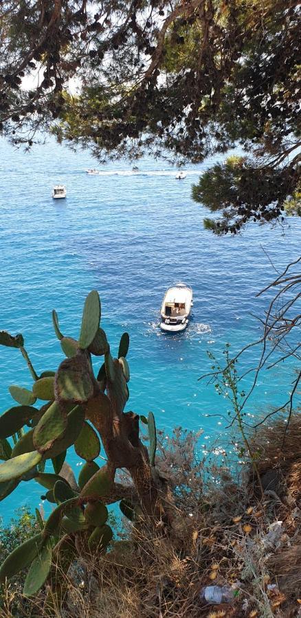B&B Vesuvio Ruins Πομπηία Εξωτερικό φωτογραφία